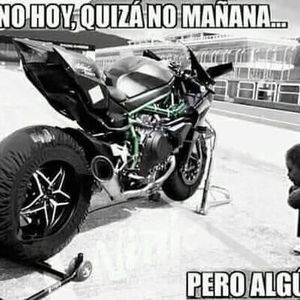 Meet your Posher, Freddy